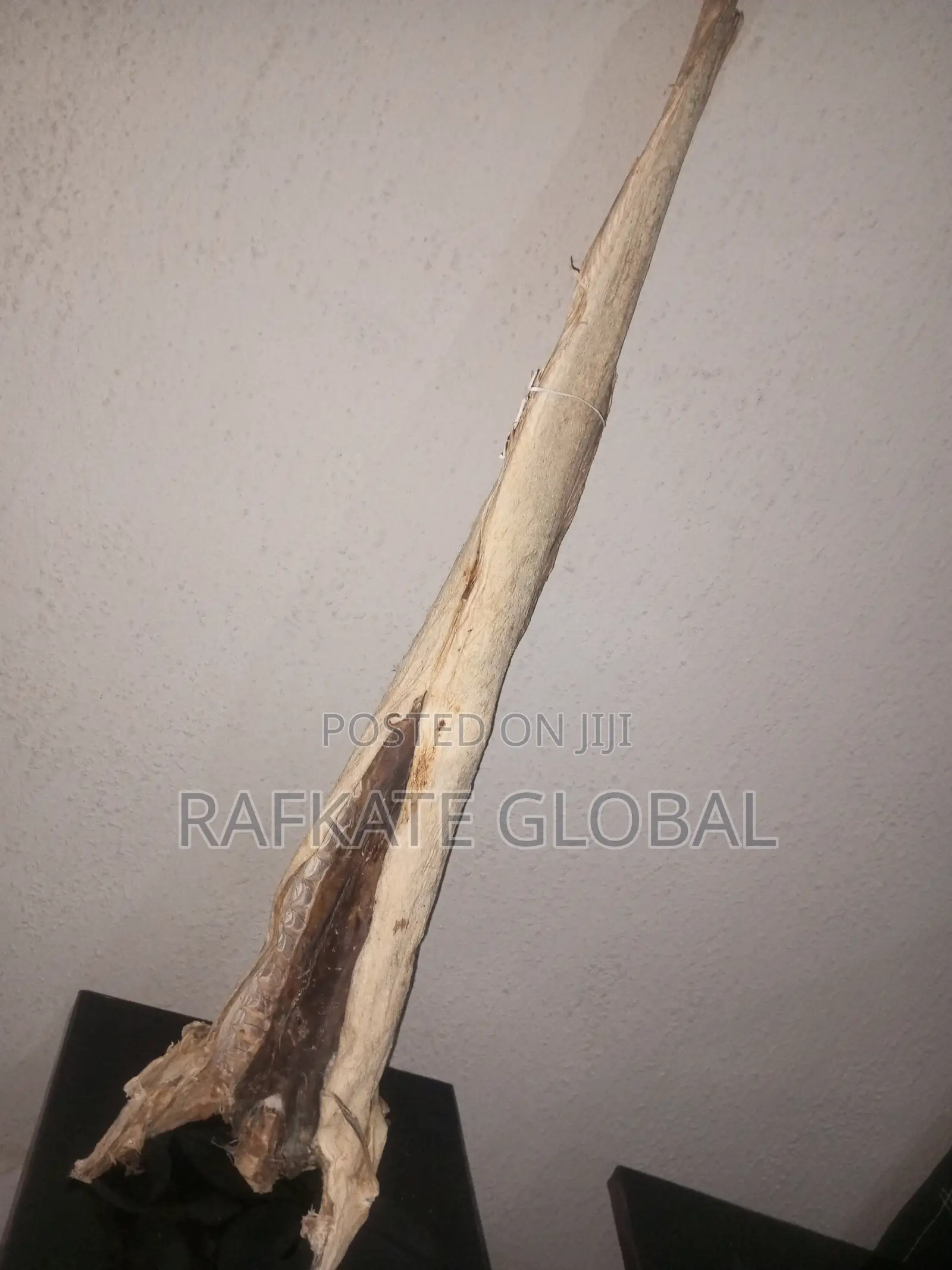 Round Cod Stockfish