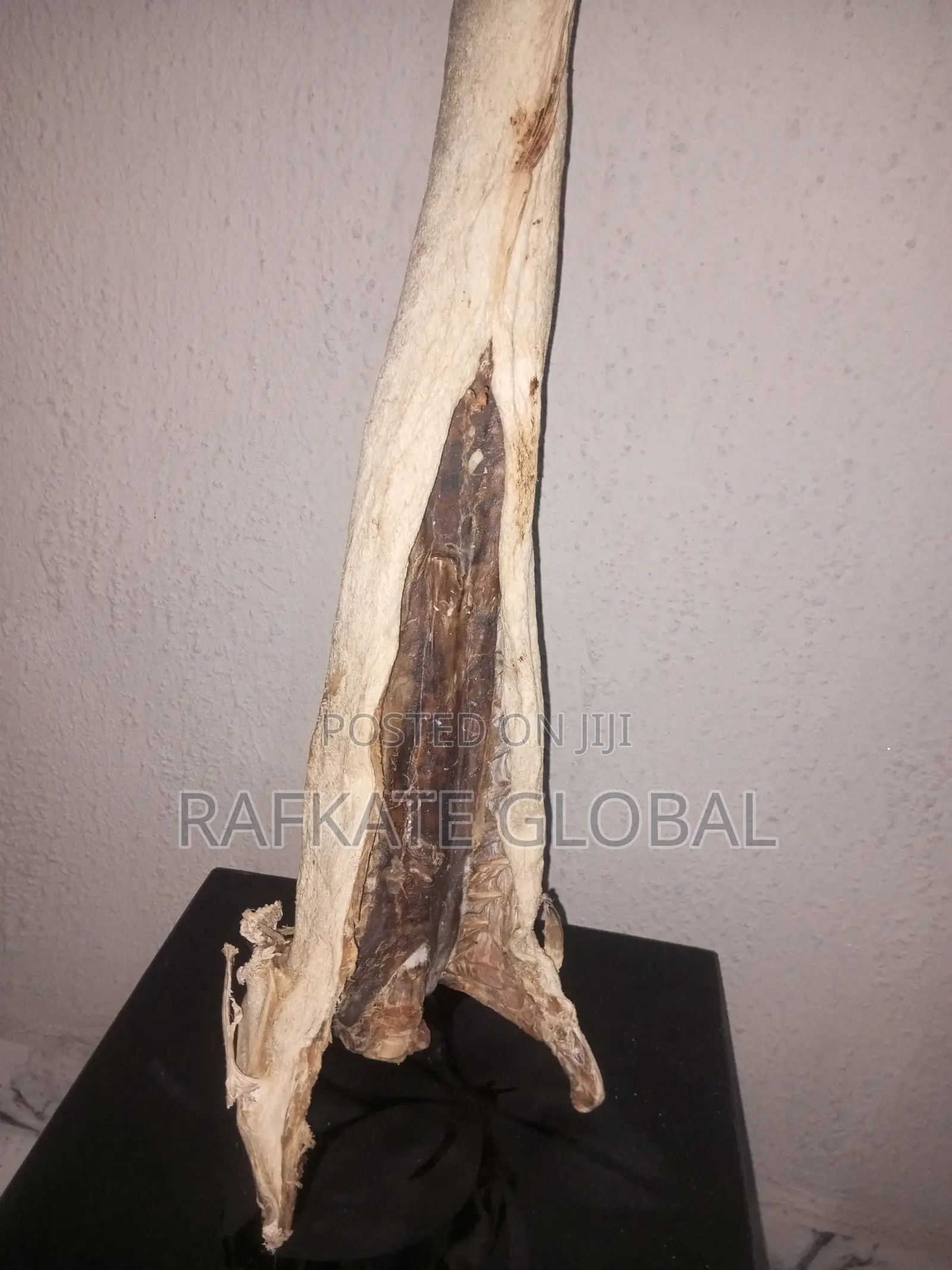 Round Cod Stockfish
