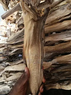 Round Cod Stockfish