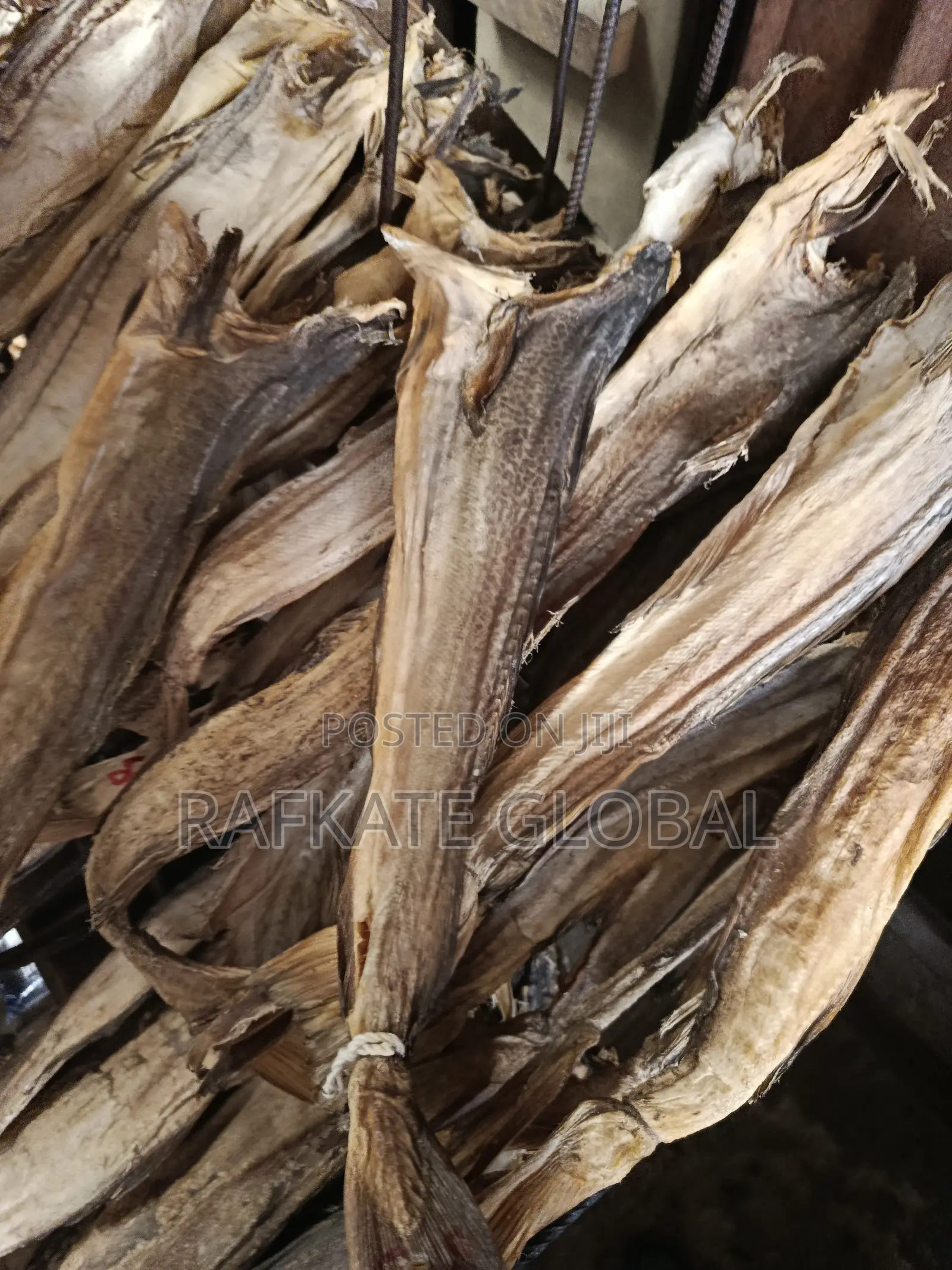 Round Cod Stockfish