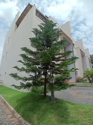 Furnished 4bdrm Duplex in Wuse 2 for rent