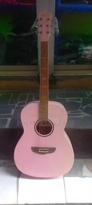 Dreambow Uk Used Acoustic Guitar