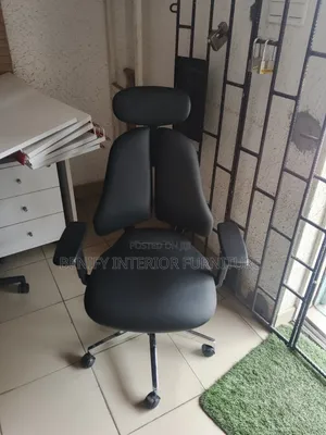 Executive Director Ergonomic Office Chair