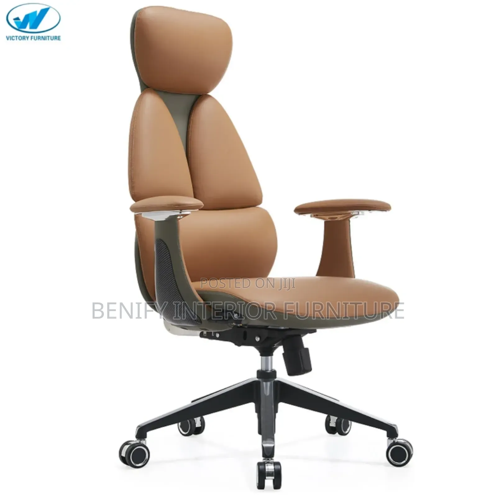 Executive Director Ergonomic Office Chair