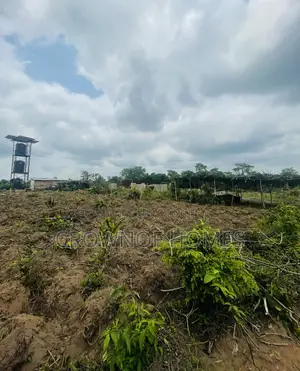 Affordable Farmland in Ogun State. We Can Manage Farm