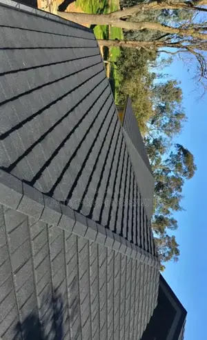 Original Roof Sheet