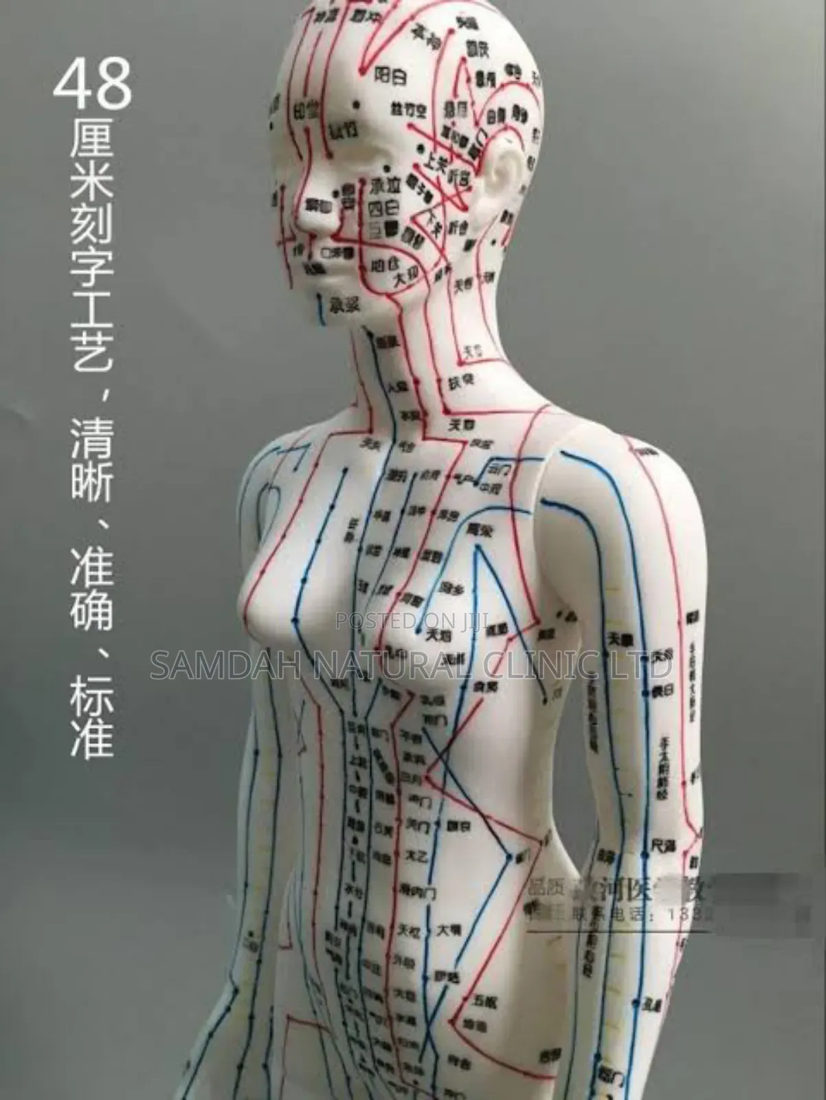 Acu Doll Female