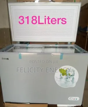 Bona Solar Freezer 318 Liters
