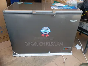 Haier Thermocool Deep Freezer