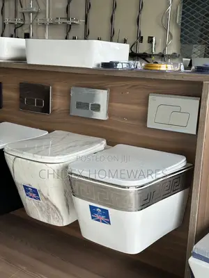 Wall Hung Concealed