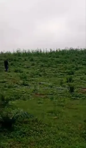 Land for Sale: Fastest Finger: Well Serviced Plot in Wuye District