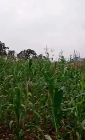 For Sale* District: Asokoro Plot: 16716 Size: 1,828.41m2