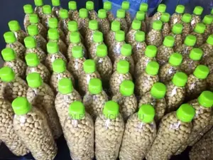 Bottle Groundnut
