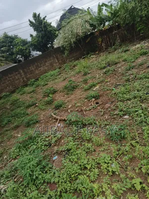 Half Plot Of Land Corner Piece Fenced In Ishefun Ayobo