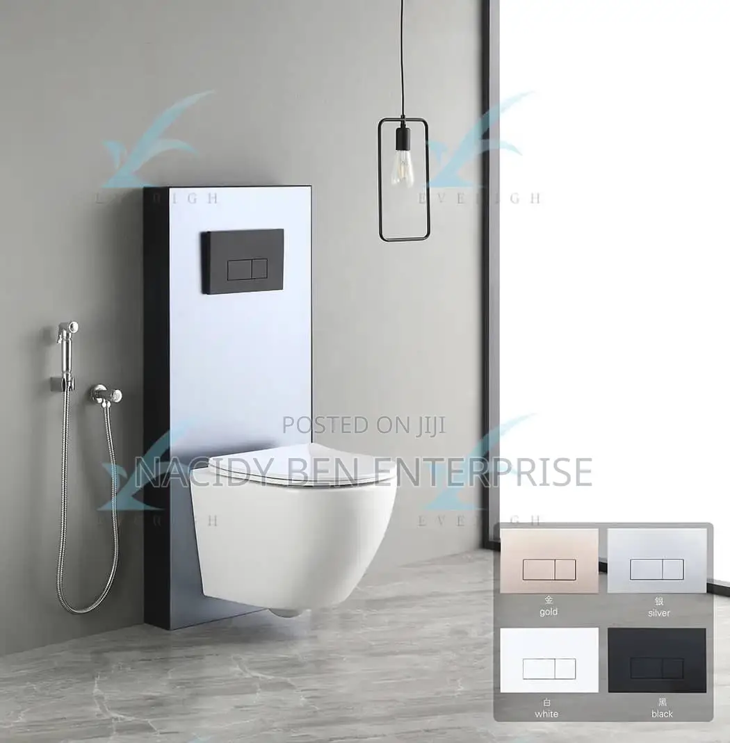 Wall Hung Toilet