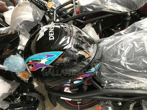 Denstar Full Max Helmet