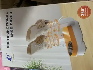 Intelligent Timer Shoe Dryer