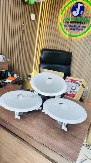 100watts Ceiling Speakers With Woofer With Amplifier