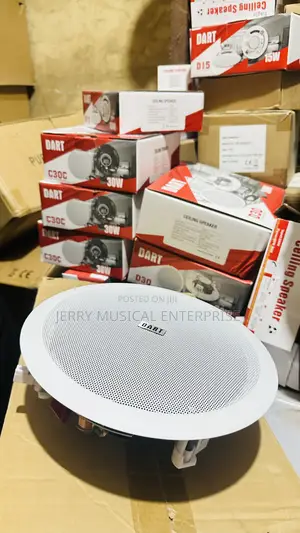 80watts Dart Woofer Ceiling Speakers