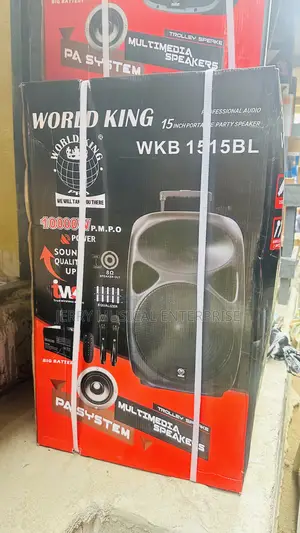 15inches Public Address System With 2 Wireless Microphone
