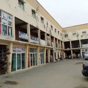 A Massive Shopping Plaza for Sale