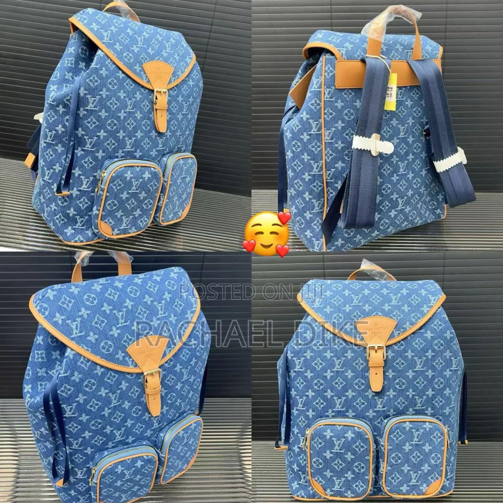 Luxury Back Pack