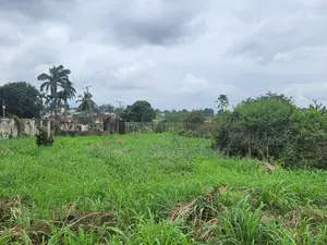 1000m2 at Magara Iyaganku Gra