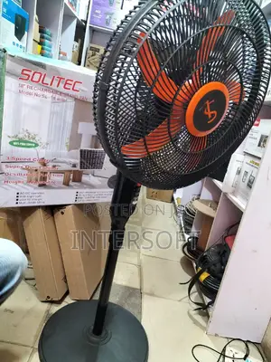 Rechargeable Solar, Standing Farn
