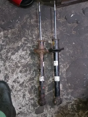 Back Shock Absorber