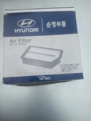 Air Filter for Hyundai Sonata
