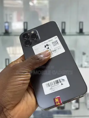 Apple iPhone 12 Pro Max 256 GB Black