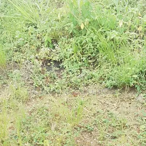 Commercial Land Available for Sale