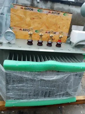Astor 500kva 33kv Outdoor Transformer