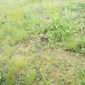 Land Selling Now and Hot at Kings Way Road