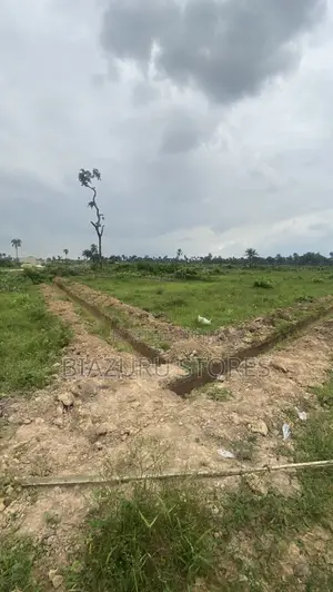 200 Plots of Land for Sale in Eleme/Akpajo