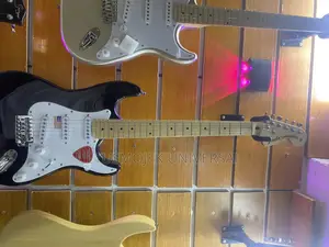 Professional Lead Guitar