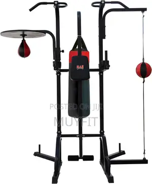Power Tower With Punching Bag,Speed Ball and Push-Up Bar