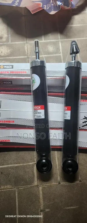 Shocks Absorber