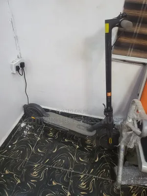 Electric Scooter With Digital Display