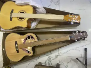 Professional Semi-Acoustic Guitar 