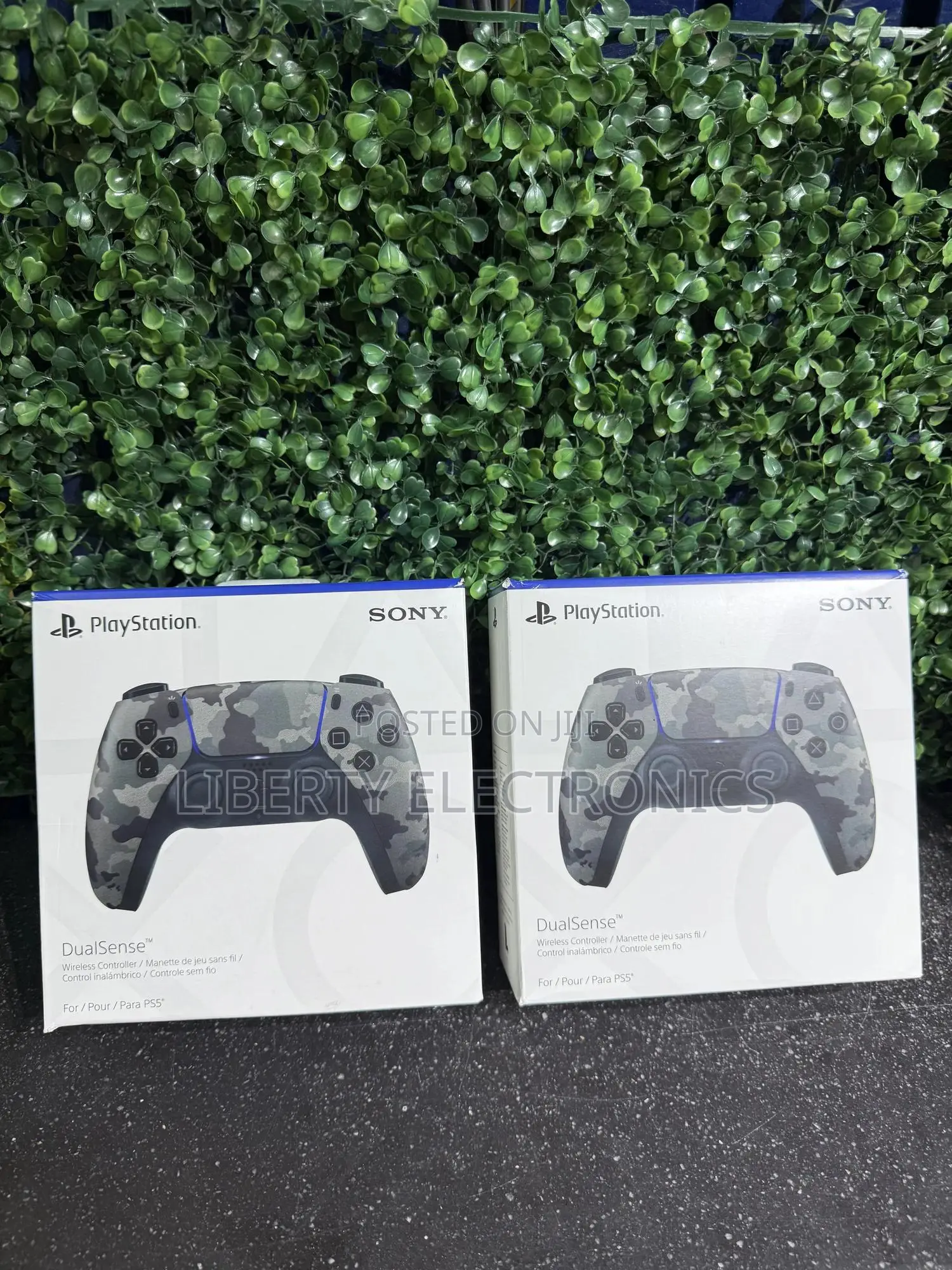 Ps5 Controller