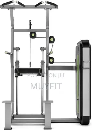 Assisted Pull Up and Dip Commercial