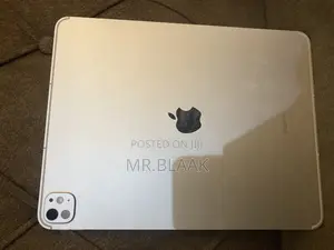 Apple iPad Pro 256 GB Silver