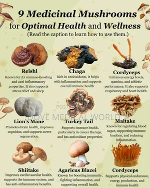 Mushroom Coffee Powder
