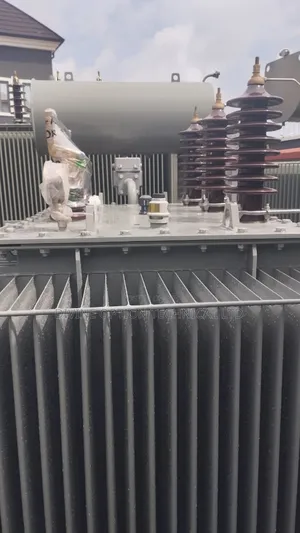 2mva 33kv/400v Astor Transformer