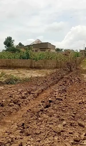 Buildable Residential Estate Plots