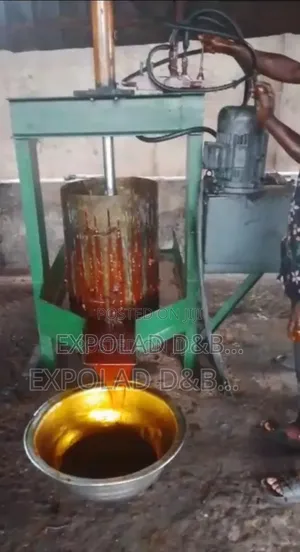 Automatic Palm Oil Presser