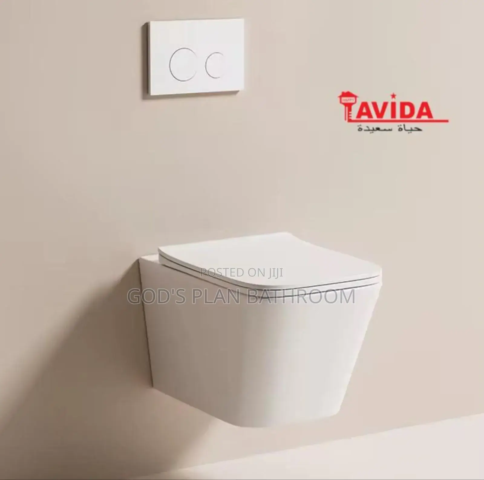 Conceal Watercloset MTS