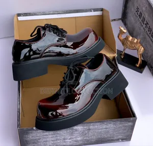Balenciaga Luxury Quality Shoe