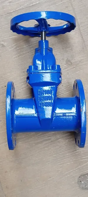 Dn100 P16 Cast Iron Valve